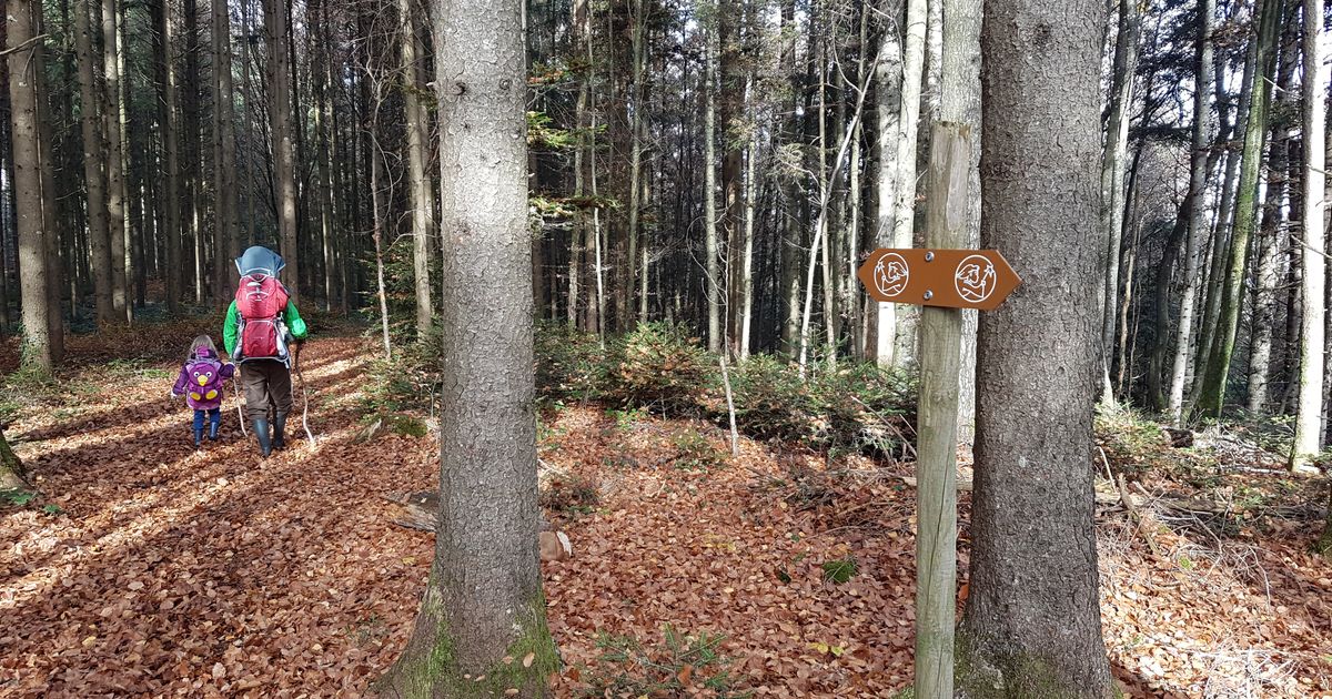 Sentier des Fées — Balade familiale en Romontregion