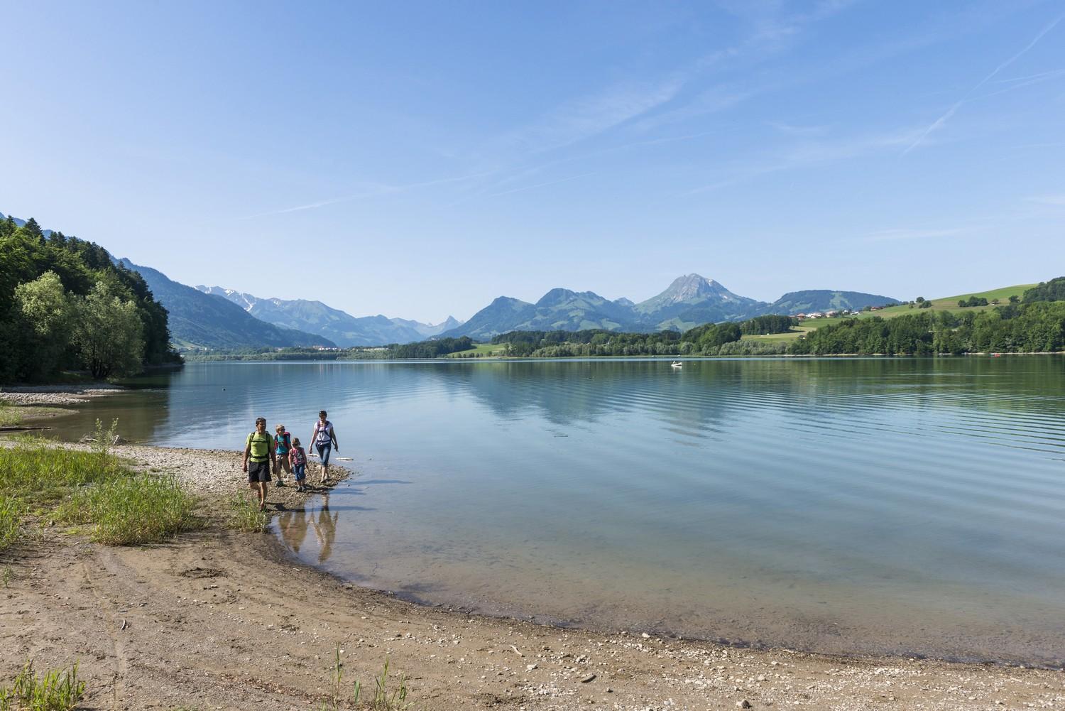 Sentier du Lac de la Gruyère — Randonnée